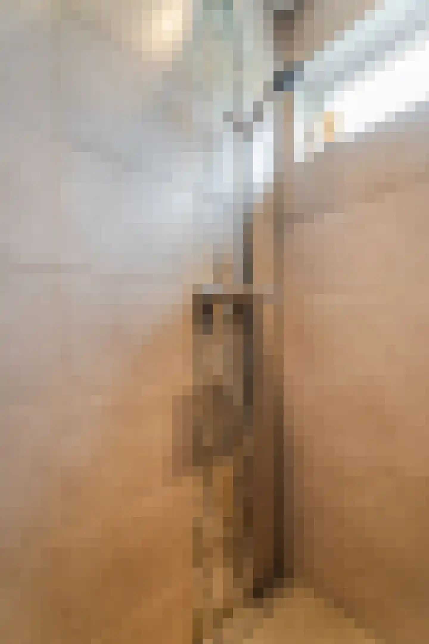 Neptunusstraat 12 Hardinxveld-Giessendam thumbnail 32