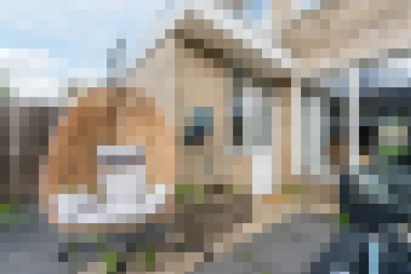 Neptunusstraat 12 Hardinxveld-Giessendam thumbnail 43