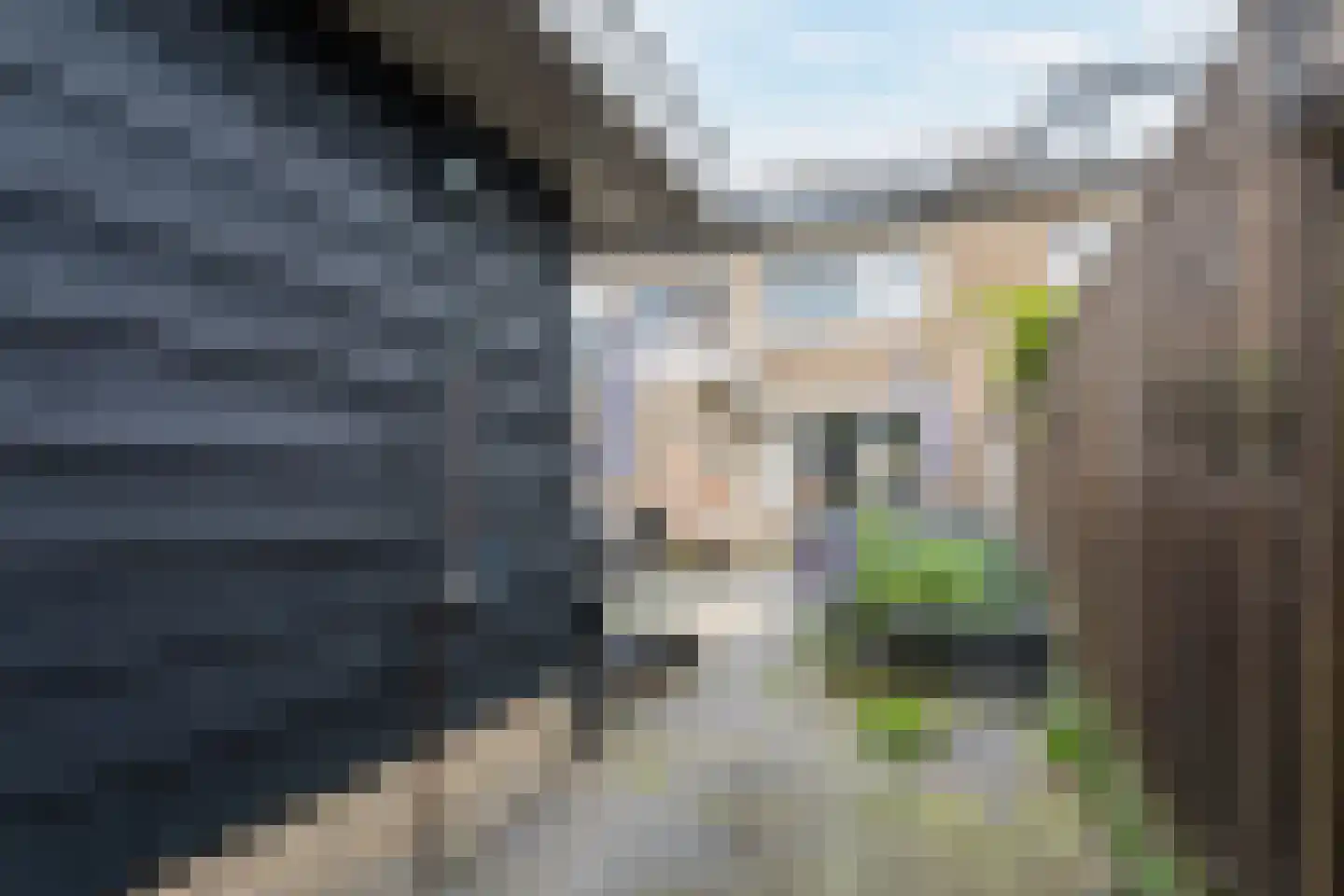 Neptunusstraat 12 Hardinxveld-Giessendam thumbnail 46