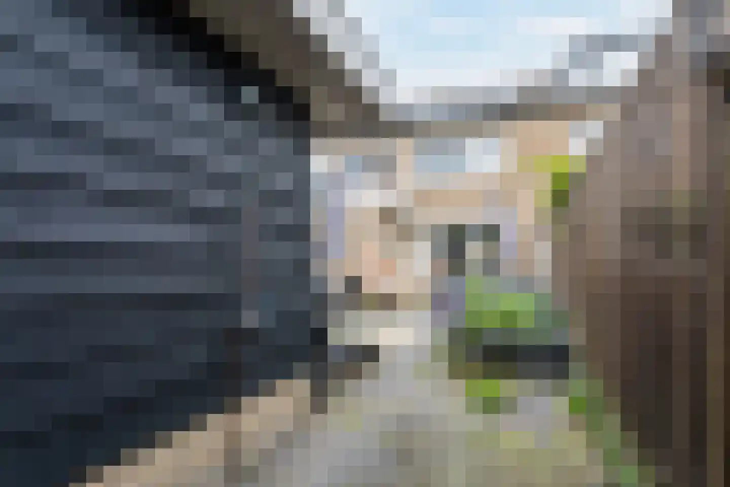 Neptunusstraat 12 Hardinxveld-Giessendam thumbnail 47