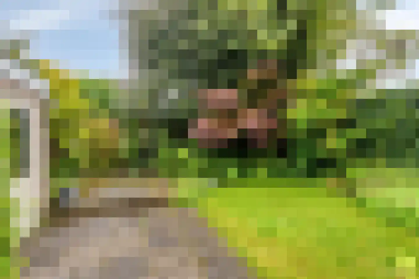 Neptunusstraat 17 Borne thumbnail 28