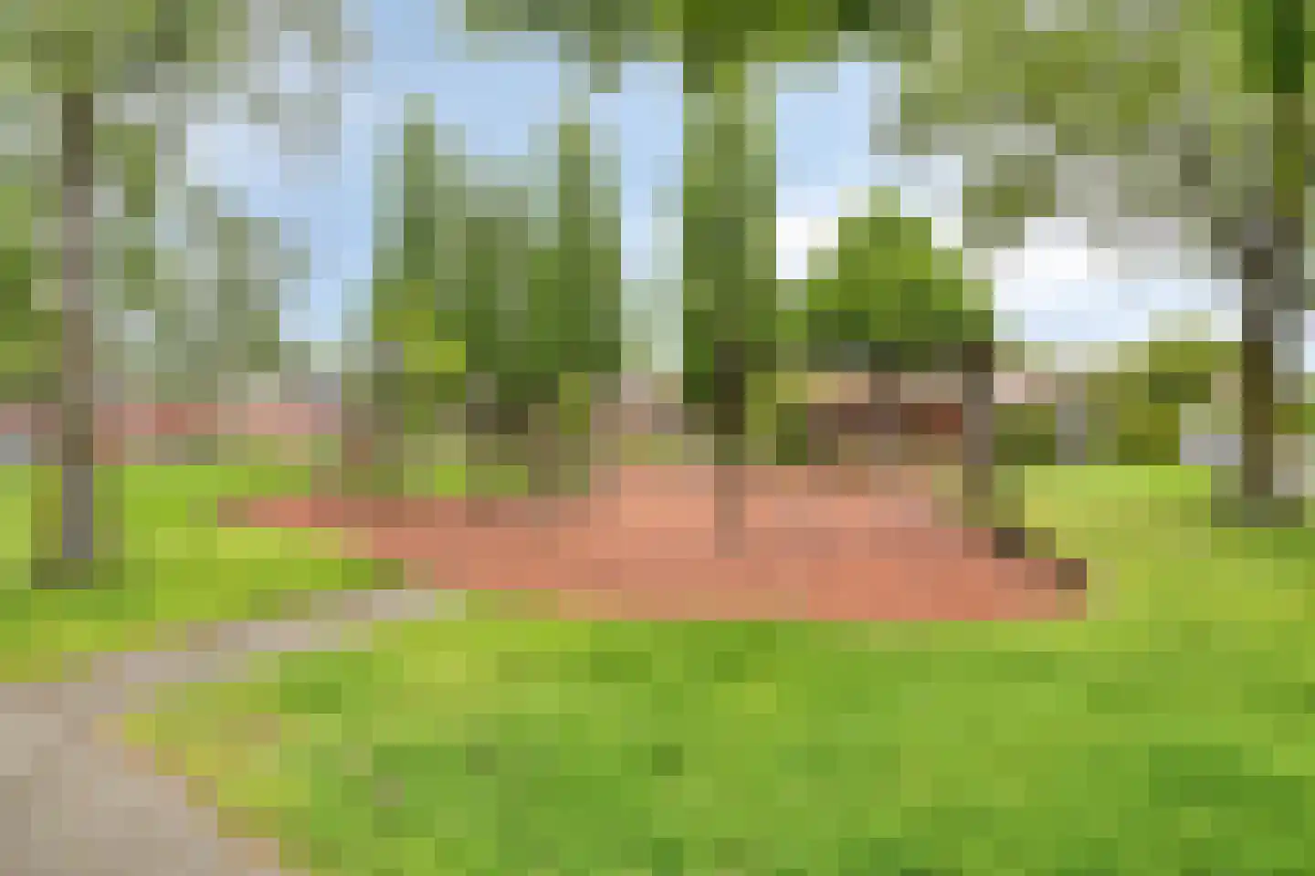 Neptunusstraat 17 Borne thumbnail 33