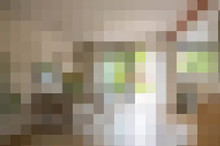 Neptunusstraat 2 Groningen thumbnail 10