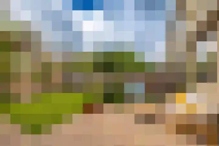 Neptunusstraat 2 Groningen thumbnail 33