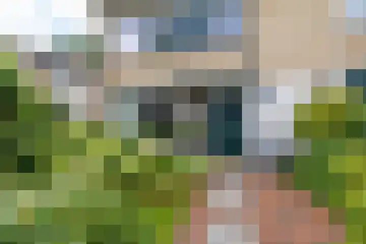 Neptunusstraat 2 Groningen thumbnail 4