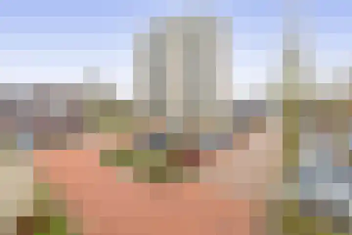 Neptunusstraat 20 A Spijkenisse thumbnail 9
