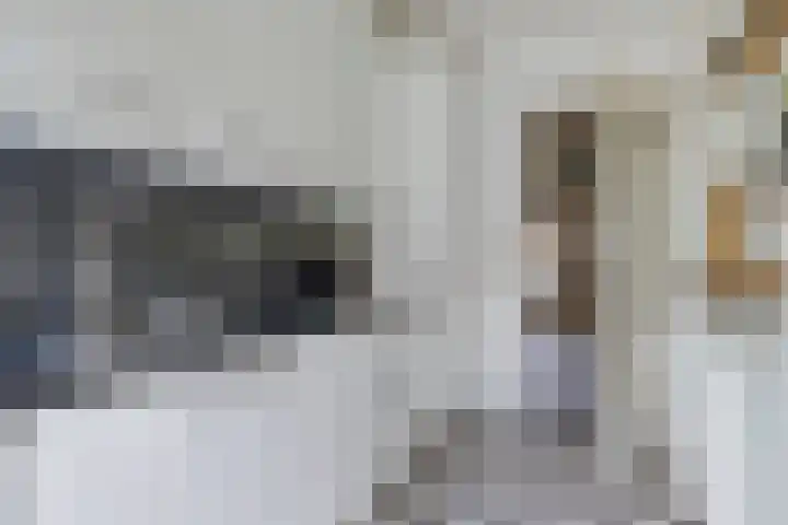 Neptunusstraat 24 Hilversum thumbnail 13
