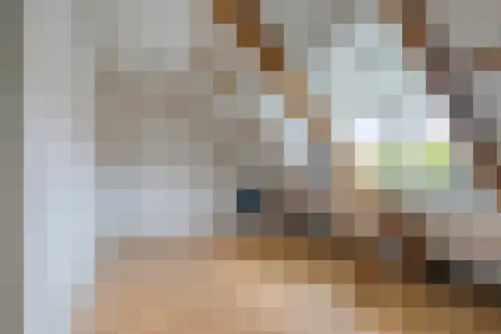 Neptunusstraat 24 Hilversum thumbnail 26