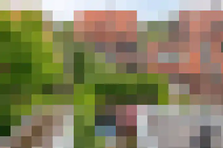 Neptunusstraat 24 Hilversum thumbnail 36