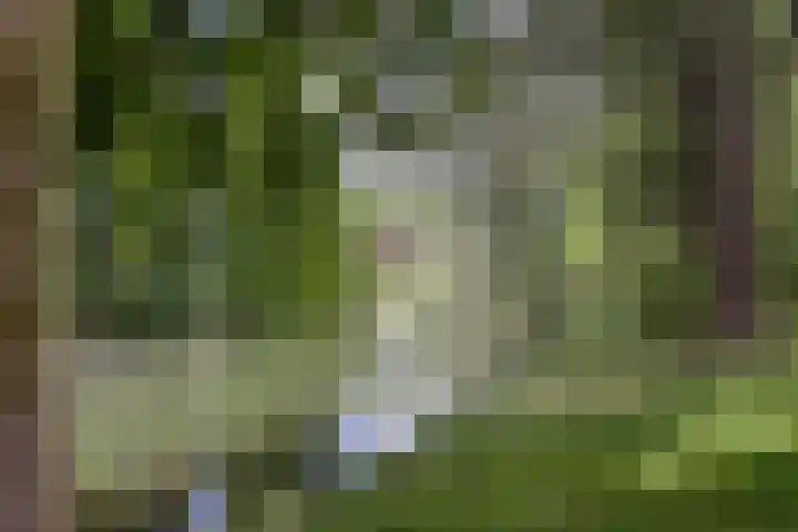 Neptunusstraat 24 Hilversum thumbnail 39