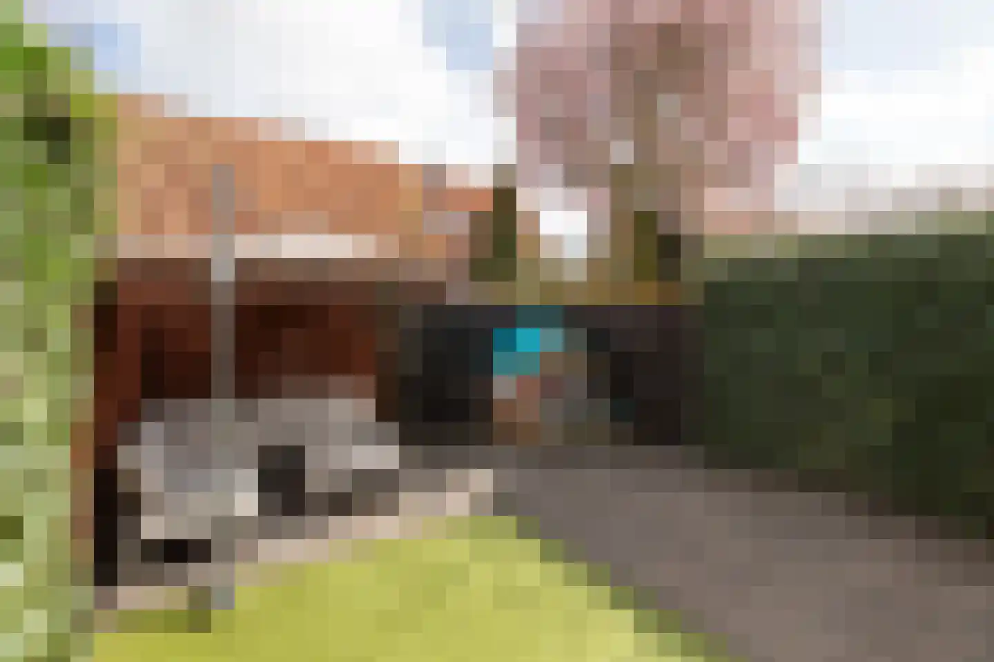 Neptunusstraat 28 Hilversum thumbnail 32