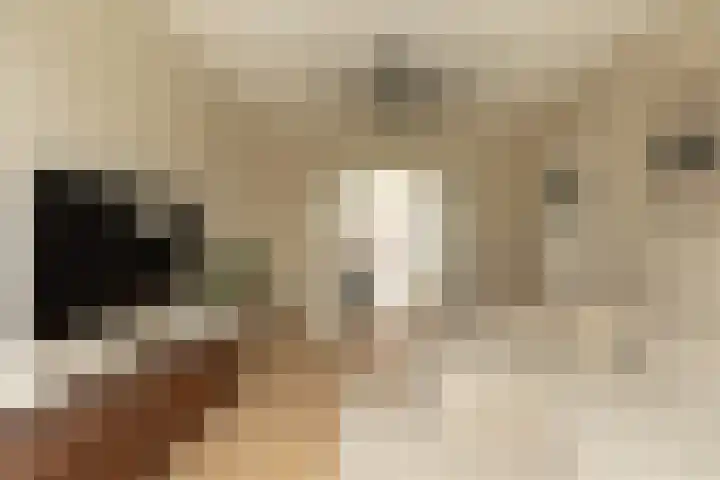 Neptunusstraat 28 Hilversum thumbnail 4