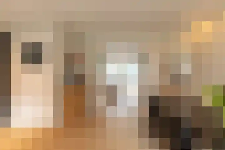 Neptunusstraat 28 Hilversum thumbnail 5