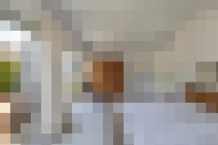Neptunusstraat 3 Emmeloord thumbnail 21