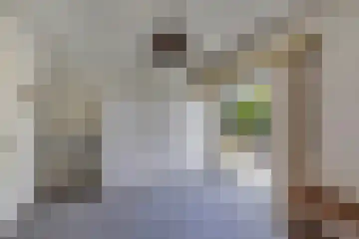 Neptunusstraat 3 Emmeloord thumbnail 22