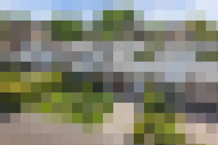 Neptunusstraat 3 Emmeloord thumbnail 33