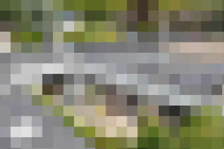Neptunusstraat 3 Emmeloord thumbnail 38