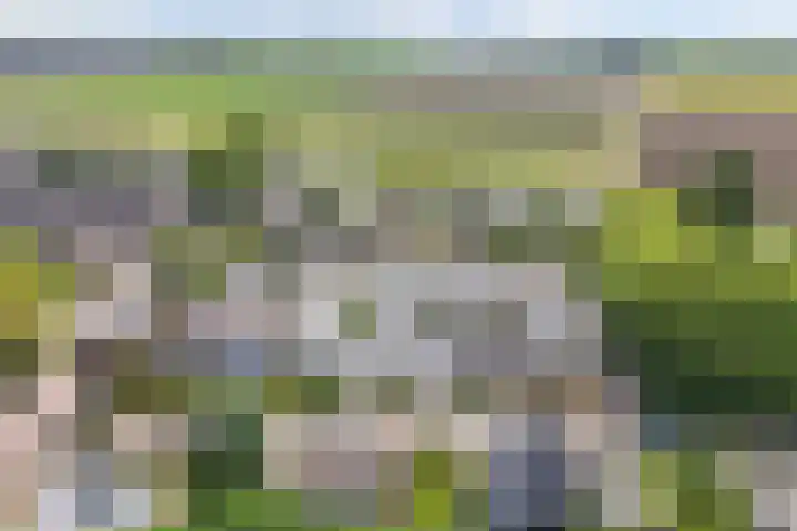 Neptunusstraat 3 Emmeloord thumbnail 39
