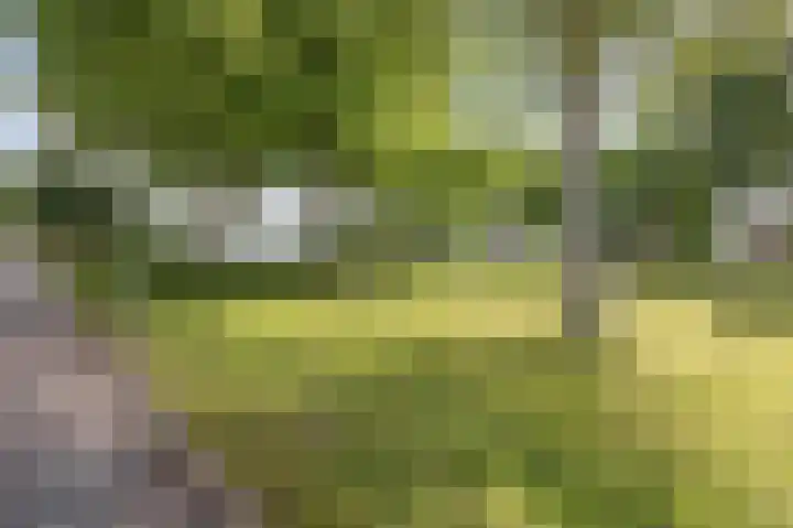 Neptunusstraat 3 Emmeloord thumbnail 43
