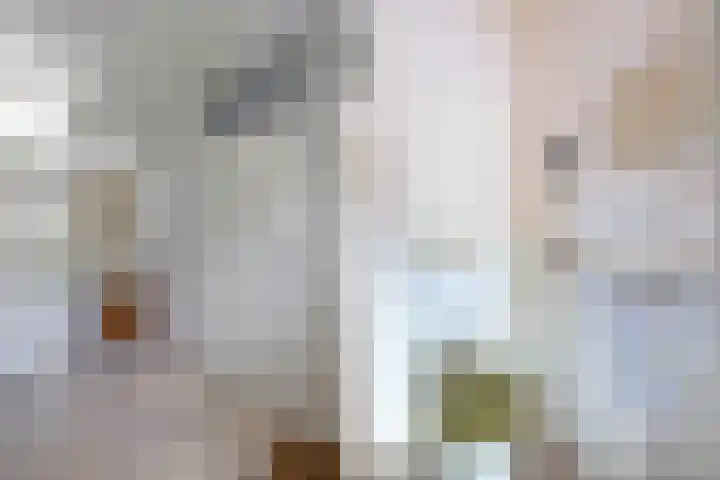 Neptunusstraat 3 Emmeloord thumbnail 7