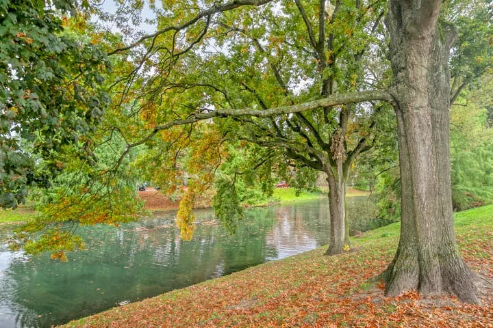 Neptunusstraat 3 Hilversum thumbnail 19