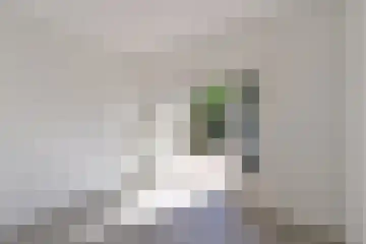 Neptunusstraat 30 Hilversum thumbnail 7