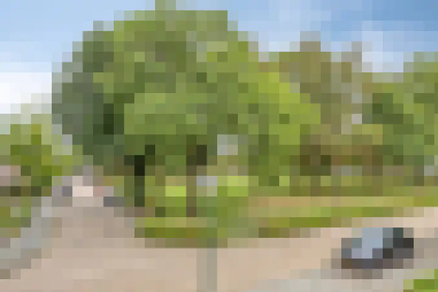 Neptunusstraat 34 Asten thumbnail 17
