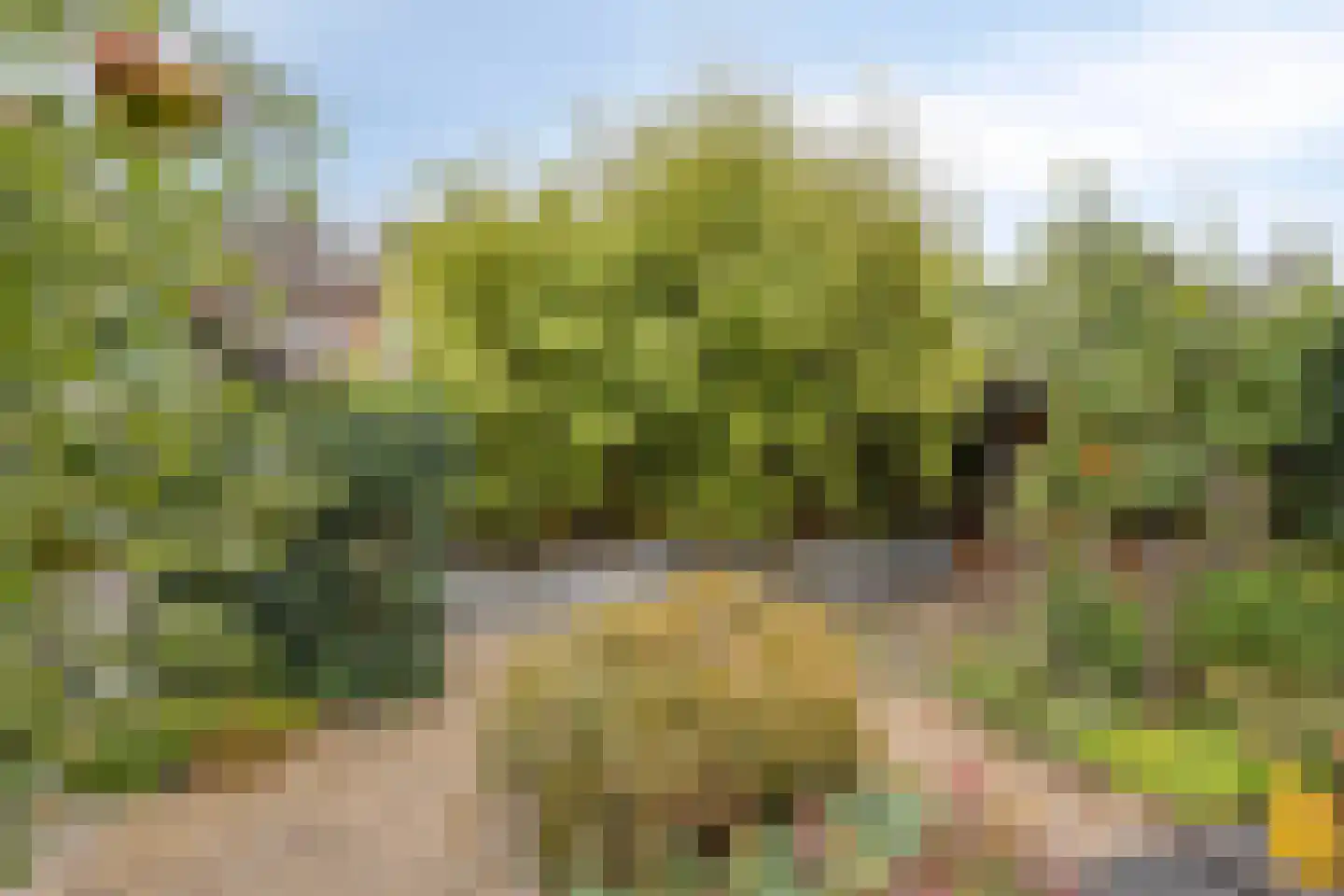 Neptunusstraat 34 Asten thumbnail 32