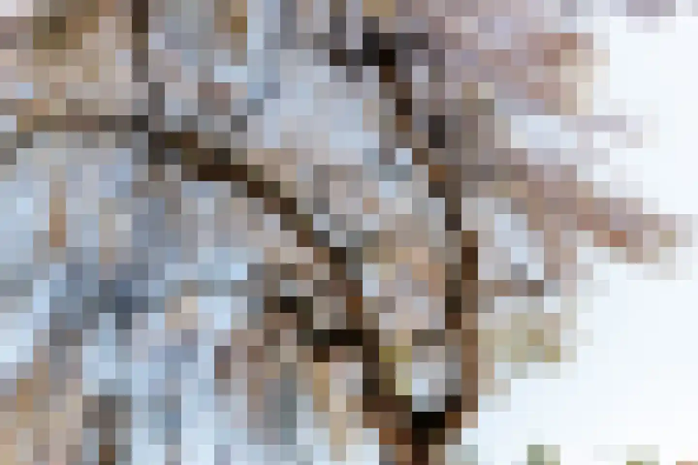 Neptunusstraat 38 Berlicum thumbnail 49