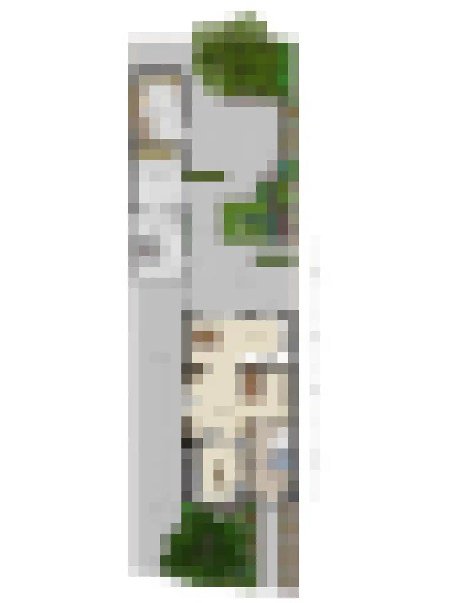 Neptunusstraat 38 Berlicum thumbnail 51