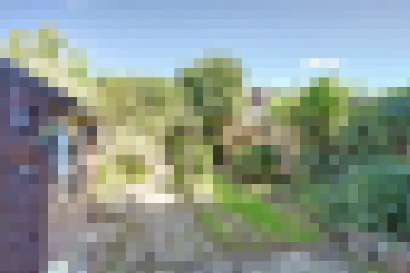 Neptunusstraat 39 Roermond thumbnail 30