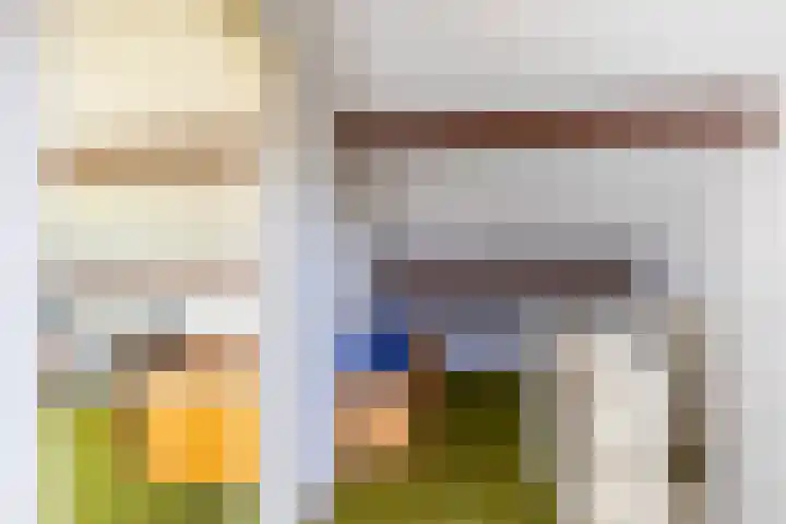 Neptunusstraat 4 Groningen thumbnail 27