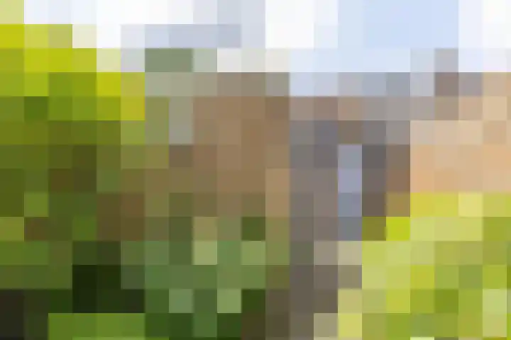 Neptunusstraat 4 Groningen thumbnail 34