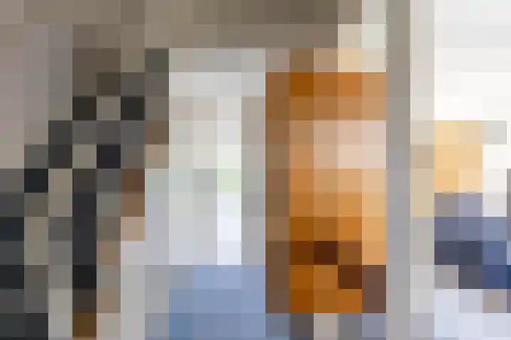 Neptunusstraat 4 Groningen thumbnail 6
