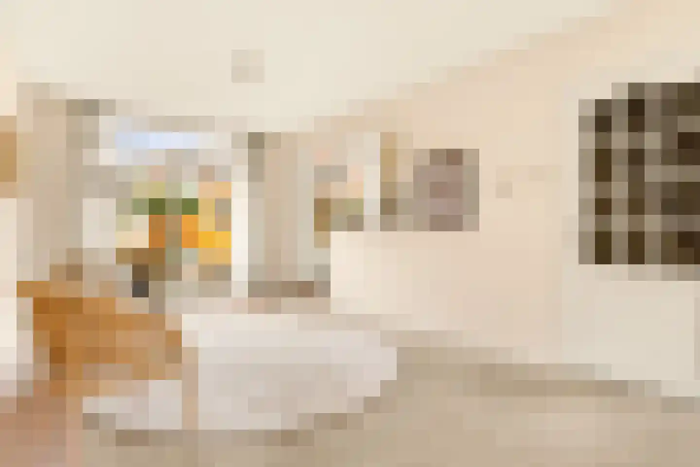 Neptunusstraat 4 Haarlem thumbnail 18