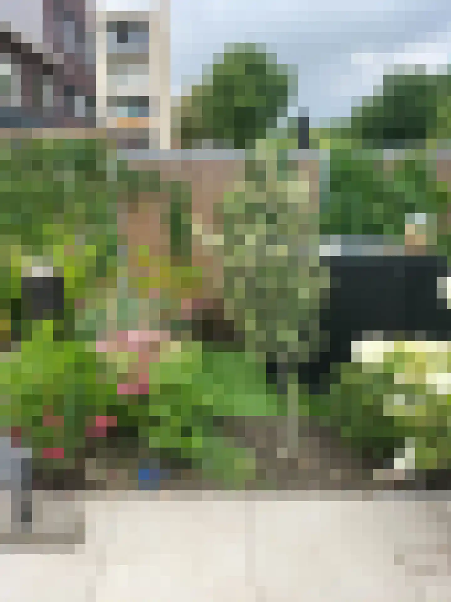 Neptunusstraat 42 Spijkenisse thumbnail 20