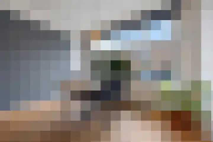 Neptunusstraat 45 Nijmegen thumbnail 5