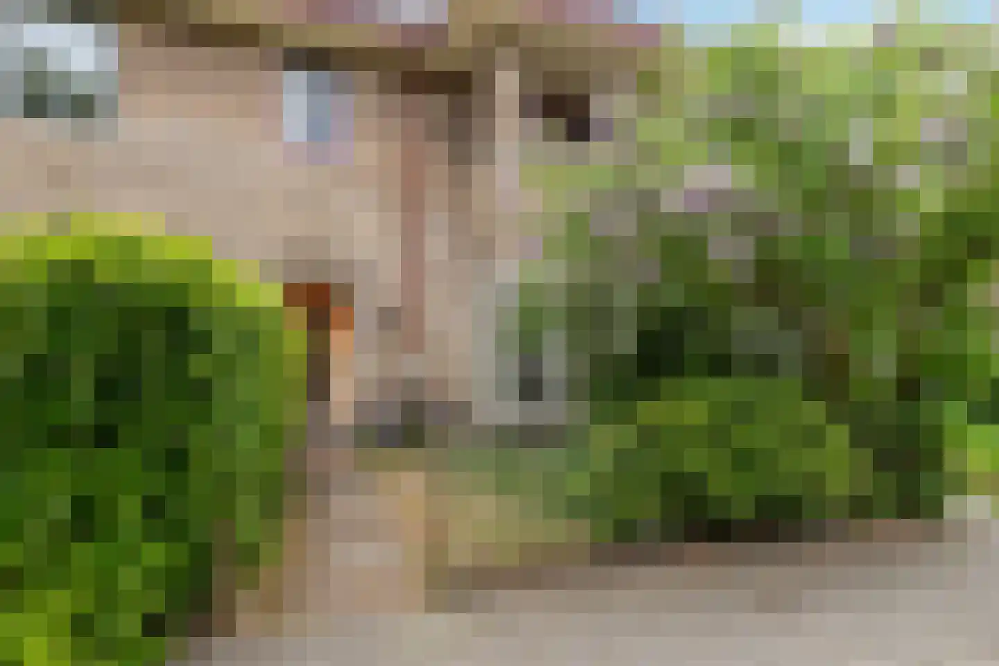 Neptunusstraat 50 Hilversum thumbnail 5