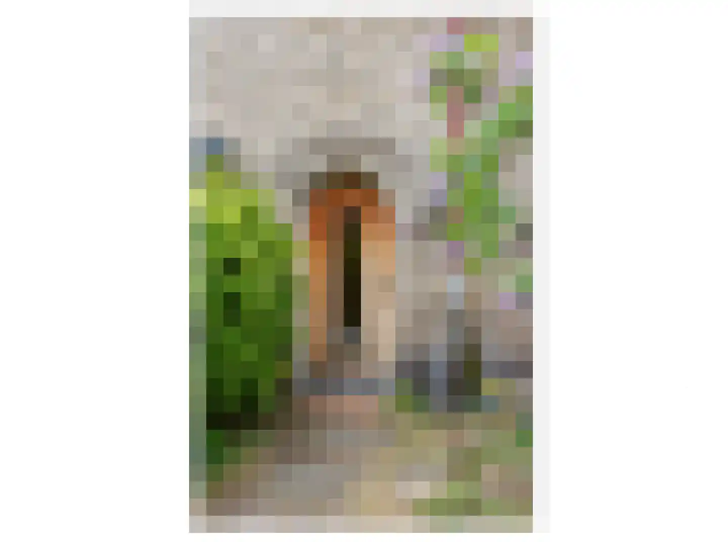 Neptunusstraat 50 Hilversum thumbnail 6