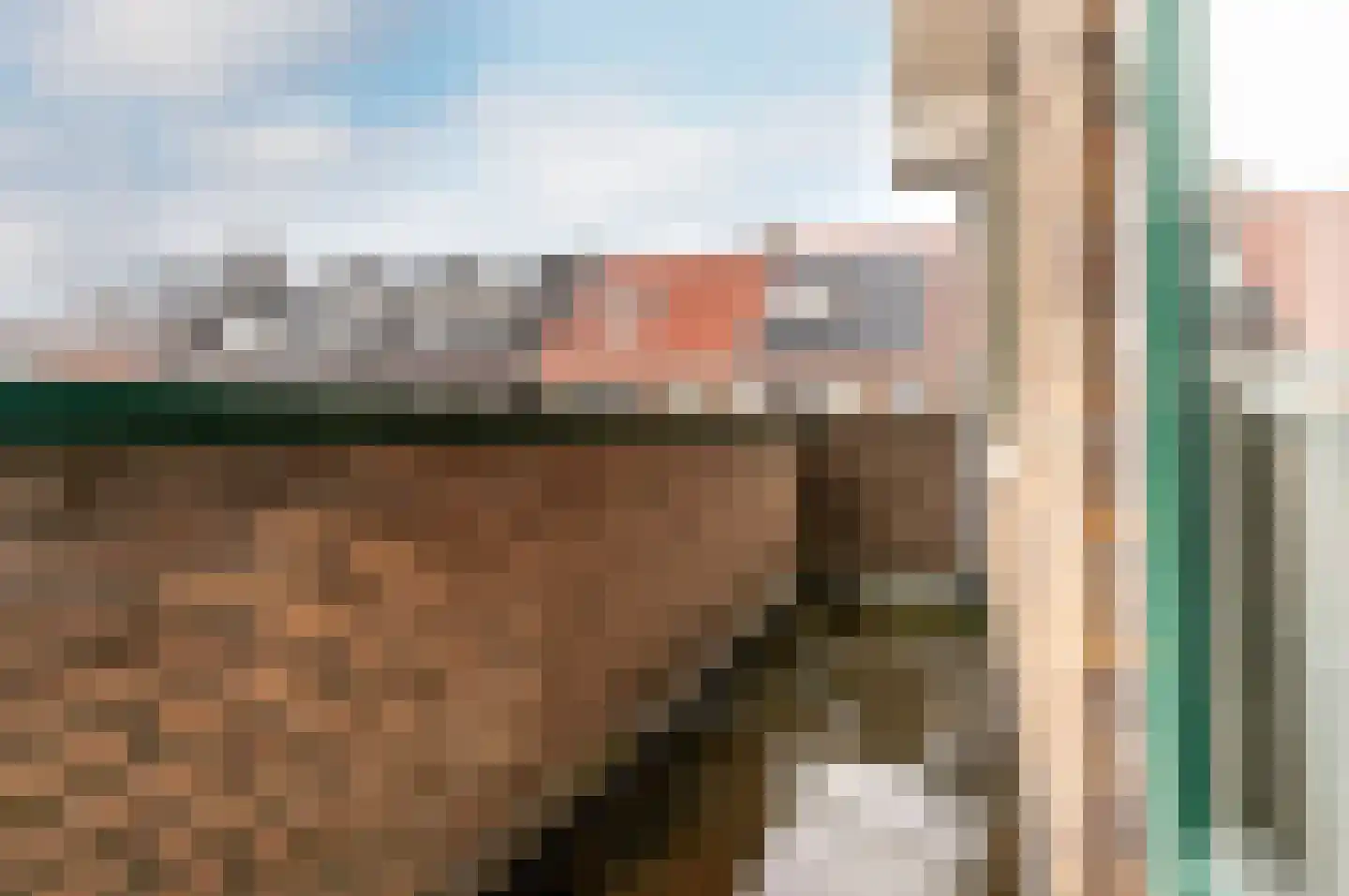 Neptunusstraat 53 Haarlem thumbnail 15
