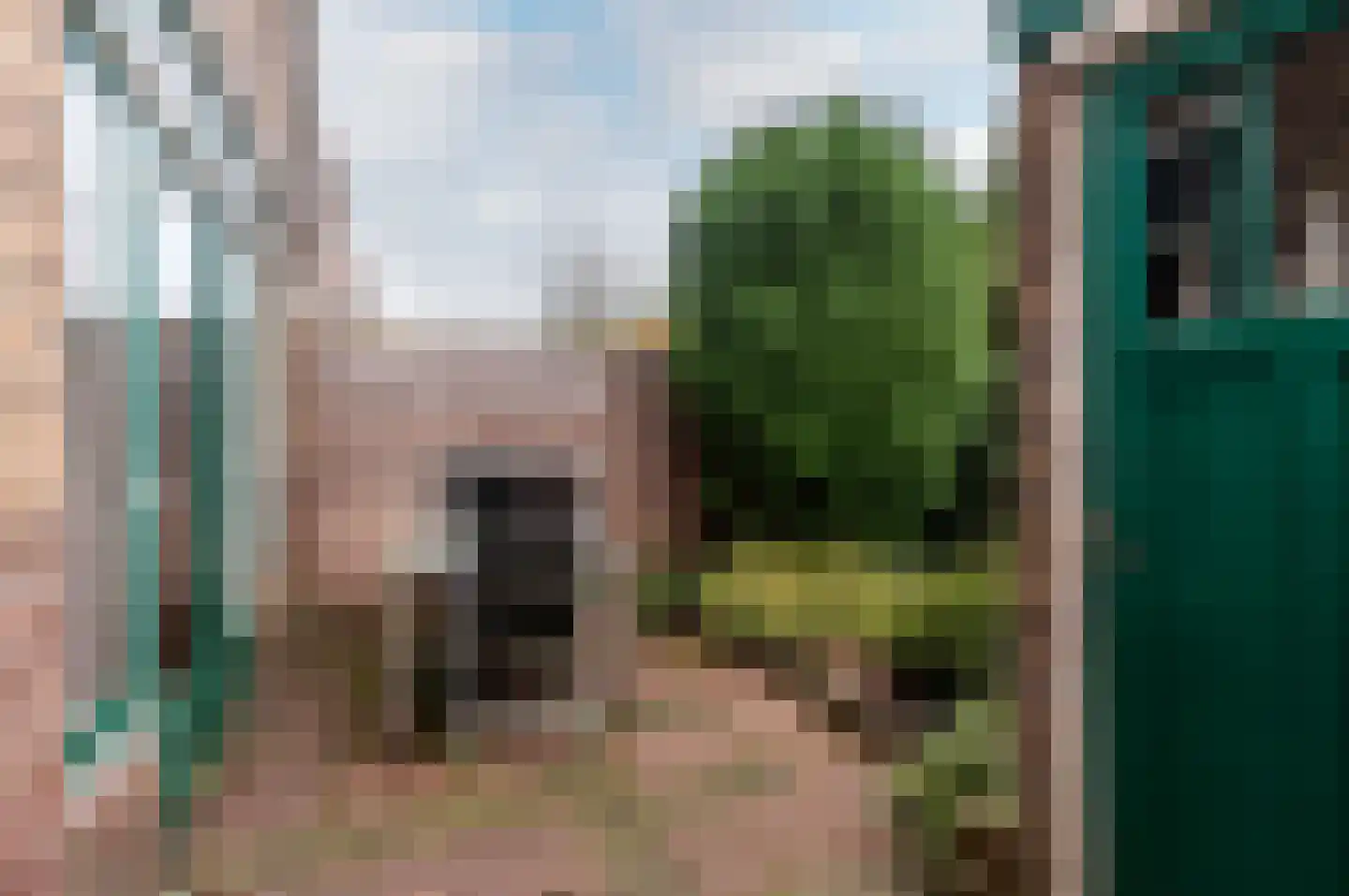 Neptunusstraat 53 Haarlem thumbnail 27