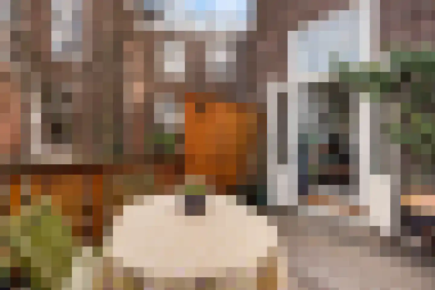 Neptunusstraat 56 Den Haag thumbnail 25