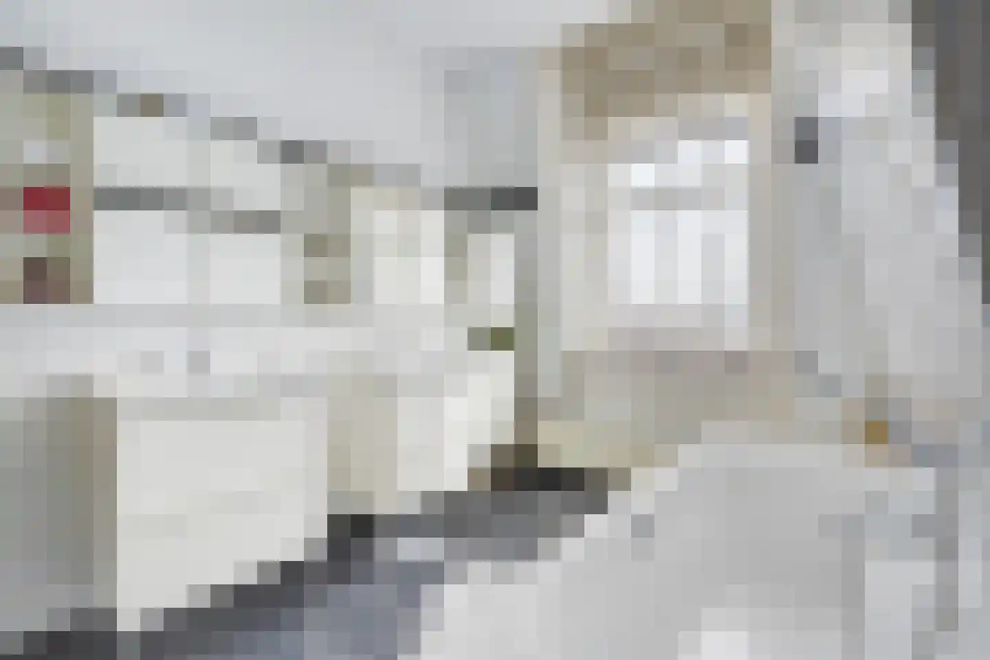 Neptunusstraat 56 Den Haag thumbnail 33