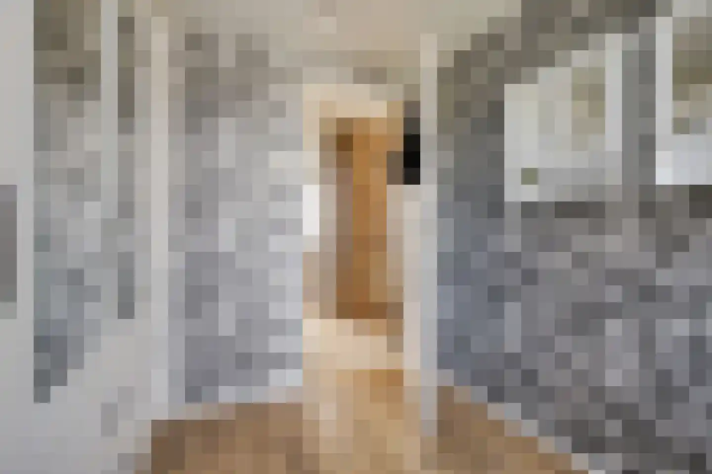 Neptunusstraat 58 Wieringerwerf thumbnail 15