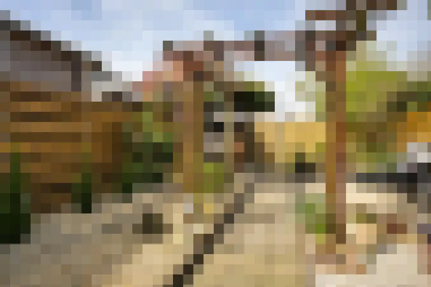 Neptunusstraat 58 Wieringerwerf thumbnail 27