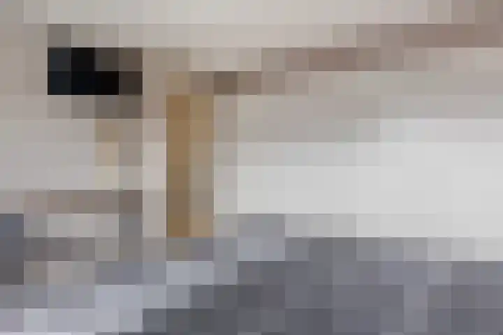 Neptunusstraat 6 Borne thumbnail 10