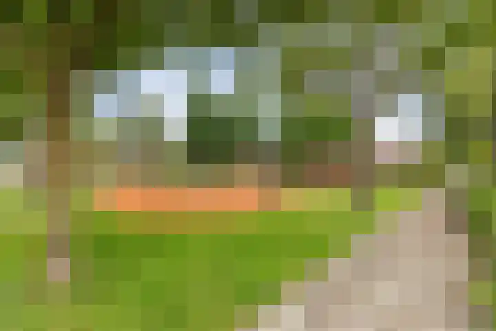 Neptunusstraat 6 Borne thumbnail 16