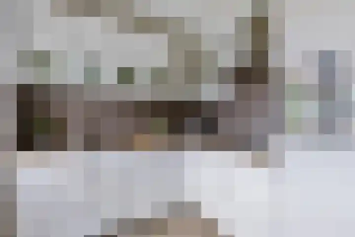 Neptunusstraat 6 Borne thumbnail 6