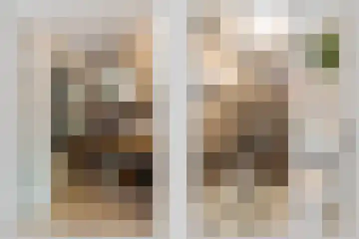 Neptunusstraat 6 Borne thumbnail 8