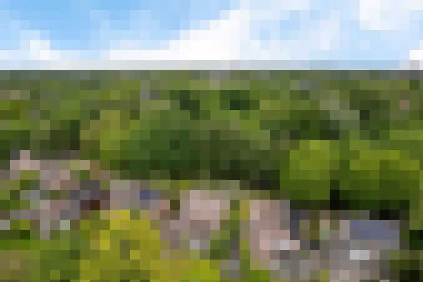 Neptunusstraat 6 Oss thumbnail 34